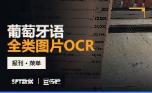 葡萄牙语全类图片OCR数据集