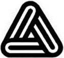 Algerian Pattern Dataset, sample image 6